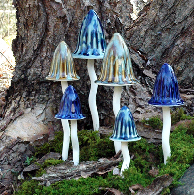 Magical Mushrooms 