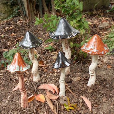Tippy Toadstools