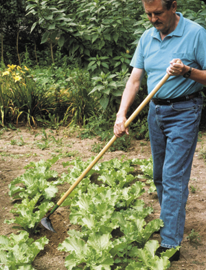 Nejiri Gama AlGok Korean Homi Hand held plow for Gardening and Great Large 