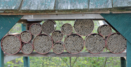 Case of 12-52 TUBE ORCHARD BIODEGRADABLE BEE NEST Mason Hive Garden 