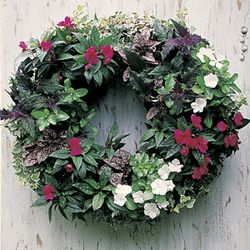 Large 24 Inch Living Wreath Form with Jute Liner
