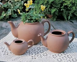 Large English Teapot Planter