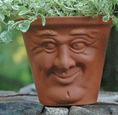 Cheerful Face Pot