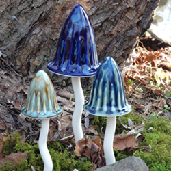 Magical Mushrooms Special Set Of 5