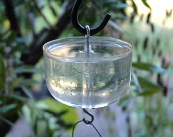 Ant Moat Trap Guard Pesticide Prevents Naturally Stops Ants Hummingbird Feeder 