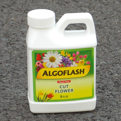 Algoflash Cut Flower Food