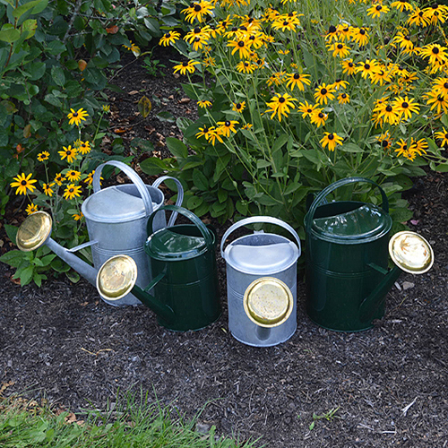 Large Classic Watering Cans