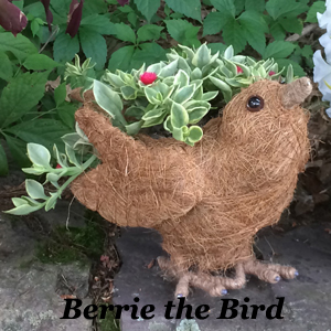 Berrie the Coco-Fiber Bird Topiary Planter
