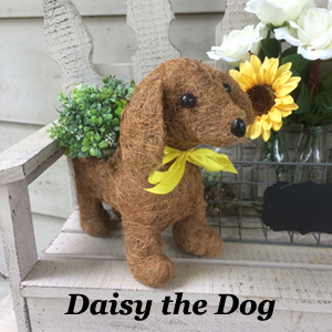 Daisy the Coco-Fiber Dog Topiary Planter