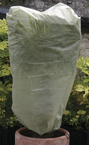Set of 2 Frost Plant Protection Bags Fleece Winter Cover Plants Garden Shrub 