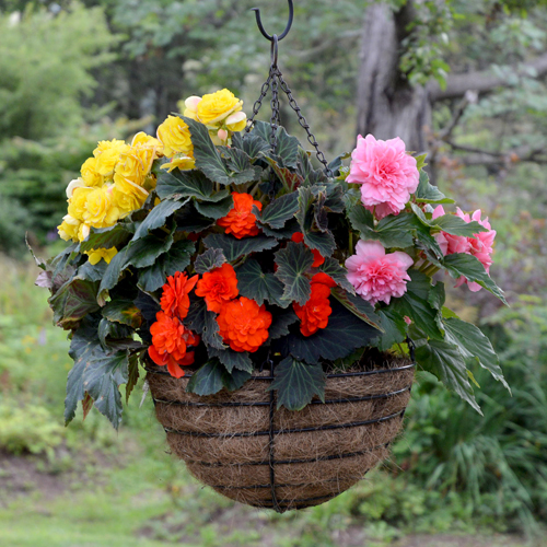 Elk Outdoor Decorative Hanging Basket Bracket 
