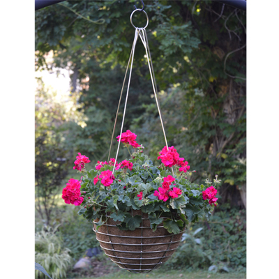 Stainless Steel Hanging Baskets