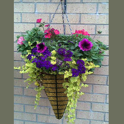 Hanging Basket Replacement Chain Large 